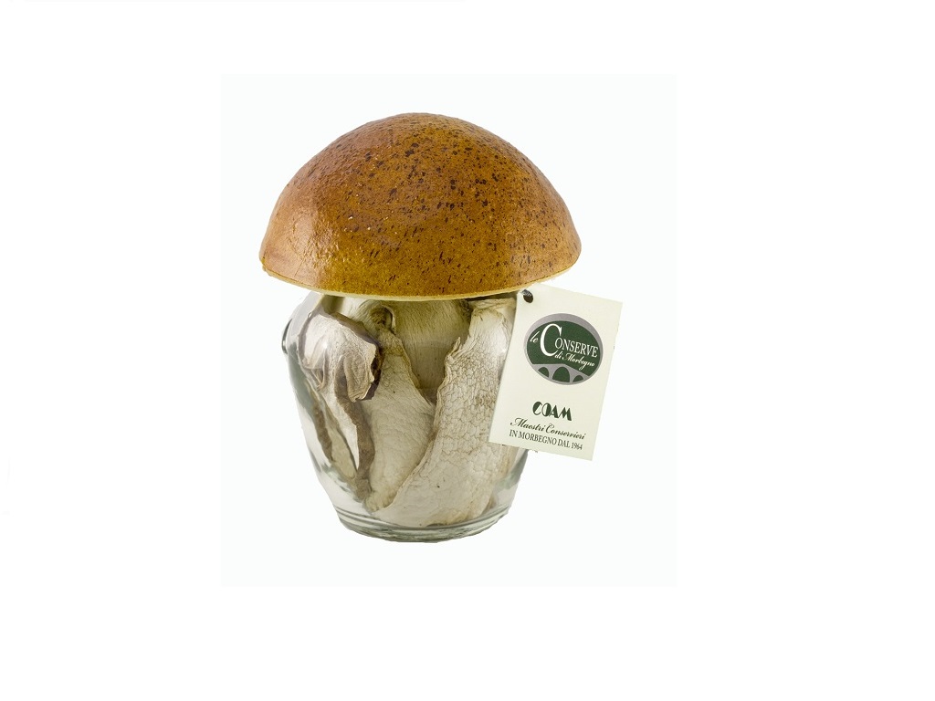Funghi Porcini secchi qualità extra - VASO FUNGO 30g
